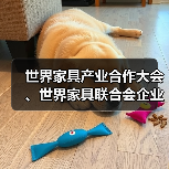 世界家具产业合作大会、世界家具联合会企业家论坛、全球家具跨境电商大会在东莞成功举办(图3) 世界家具产业合作大会、世界家具联合会企业家论坛、全球家具跨境电商大会在东莞成功举办(图3)