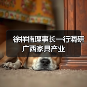 徐祥楠理事长一行调研广西家具产业（图2）