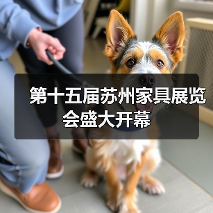 第十五届苏州家具展览会盛大开幕（图1）