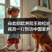商务部欧洲司王劲松巡视员一行到访中国家具协会（图3）