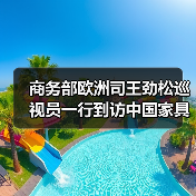 商务部欧洲司王劲松巡视员一行到访中国家具协会（图4）