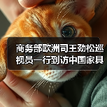 商务部欧洲司王劲松巡视员一行到访中国家具协会（图1）