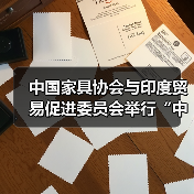 中国家具协会与印度贸易促进委员会举行“中印家具集群建设”工作会议（图4）
