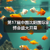 第17届中国沈阳国际家博会盛大开幕(图4) 第17届中国沈阳国际家博会盛大开幕(图4)