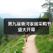 第九届香河家居采购节盛大开幕（图3）