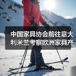 中国家具协会前往意大利米兰考察欧洲家具产业(图2) 中国家具协会前往意大利米兰考察欧洲家具产业(图2)
