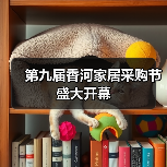 第九届香河家居采购节盛大开幕（图2）