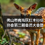 佛山市南海区红木行业协会第二届会员大会暨理事会就职典礼成功举办（图3）