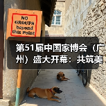 第51届中国家博会（广州）盛大开幕：共筑美好家，服务新格局！（图2）