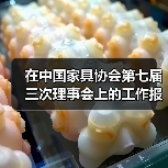 在中国家具协会第七届三次理事会上的工作报告(图3) 在中国家具协会第七届三次理事会上的工作报告(图3)