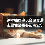 徐祥楠理事长会见贵港市覃塘区委书记韦安宁一行(图2) 徐祥楠理事长会见贵港市覃塘区委书记韦安宁一行(图2)