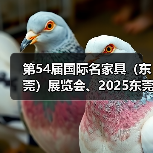 第54届国际名家具(东莞)展览会、2025东莞国际设计周盛大开幕(图2) 第54届国际名家具(东莞)展览会、2025东莞国际设计周盛大开幕(图2)
