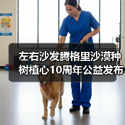 左右沙发腾格里沙漠种树植心10周年公益发布会圆满举行(图4) 左右沙发腾格里沙漠种树植心10周年公益发布会圆满举行(图4)