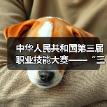 中华人民共和国第三届职业技能大赛——“三木”项目轻工行业选拔赛成功举办(图4) 中华人民共和国第三届职业技能大赛——“三木”项目轻工行业选拔赛成功举办(图4)
