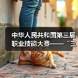 中华人民共和国第三届职业技能大赛——“三木”项目轻工行业选拔赛成功举办(图2) 中华人民共和国第三届职业技能大赛——“三木”项目轻工行业选拔赛成功举办(图2)