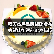 蓝天家居品牌战略发布会暨床垫智能流水线投产仪式成功举办(图4) 蓝天家居品牌战略发布会暨床垫智能流水线投产仪式成功举办(图4)