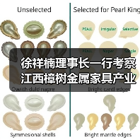 徐祥楠理事长一行考察江西樟树金属家具产业(图3) 徐祥楠理事长一行考察江西樟树金属家具产业(图3)