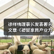 徐祥楠理事长发表署名文章《凝聚家具产业力量 服务国家发展大局》(图4) 徐祥楠理事长发表署名文章《凝聚家具产业力量 服务国家发展大局》(图4)