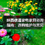 陕西信通家电家具咨询指南：选购维护与常见问题解析（图3）